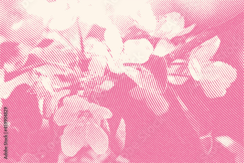 Background with engraved spring apple tree flowers in woodcut style. Vector Illustration