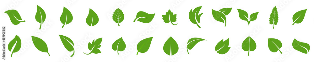 Set of green leaf icons. Leaf's green color icon logo. Leaves on white background. Stock Vector illustration. Set of green leaf icons. Leaf's green color icon logo. Leaves on white background. Stock Vector illustration.