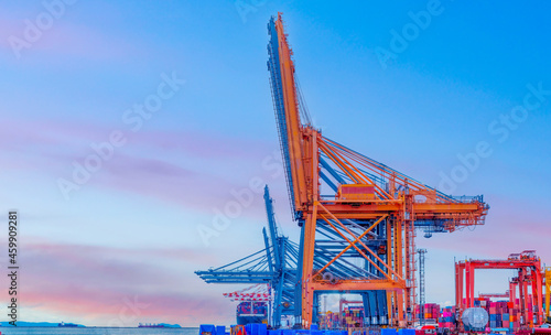 Container dock crane construction shipment terminal in the port of harbour import export commercial trade business logistic and transportation of international. 
