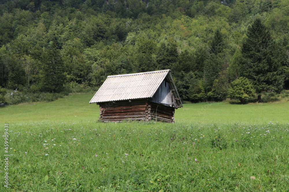 Hütte Holzhaus verfallen ländlich Bauernhof Berg Wald Hütte Holzhaus verfallen ländlich Bauernhof Berg Wald