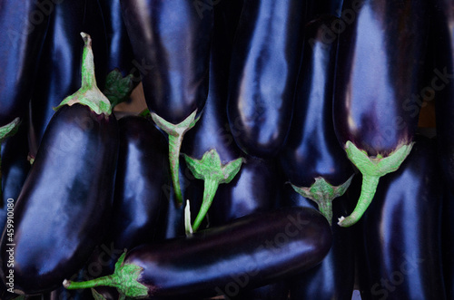 background of vegetables, background of eggplants