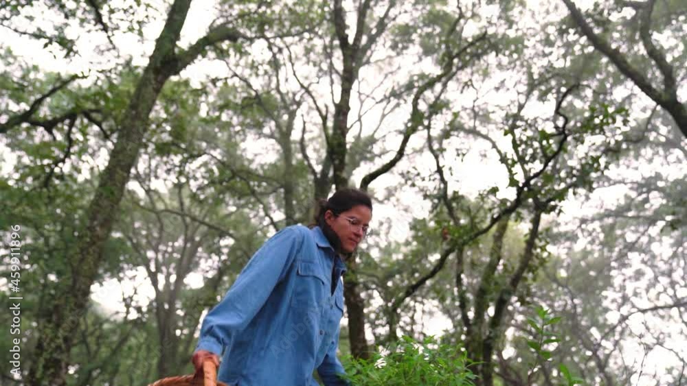 Woman with basket walking through stones in forest Woman with basket walking through stones in forest