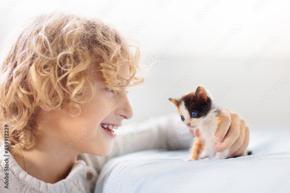 Child playing with kitten. Cat and kid at home. Child playing with kitten. Cat and kid at home.