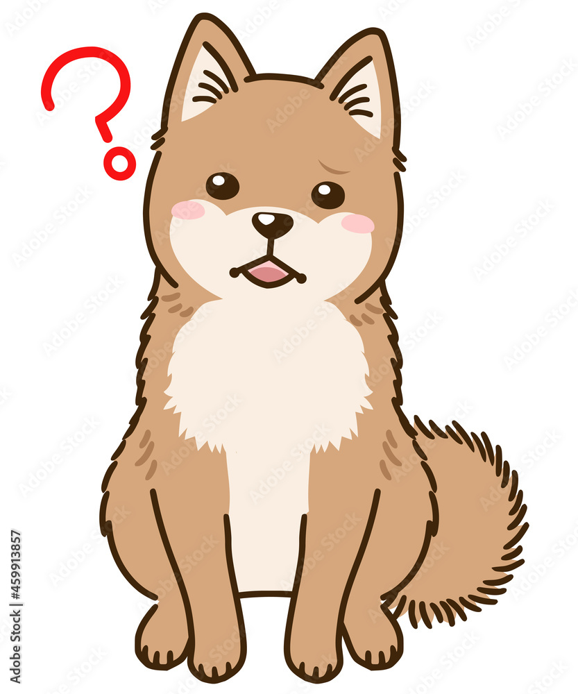 疑問に思う北海道犬(赤) 疑問に思う北海道犬(赤)