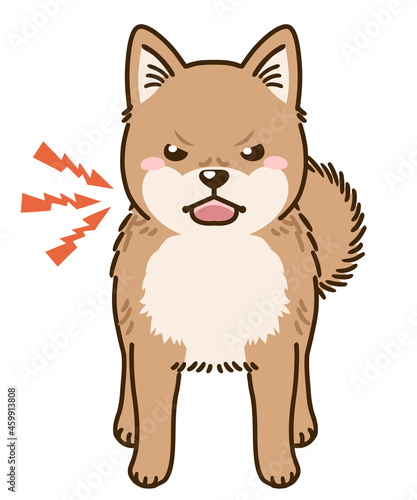 威嚇する北海道犬（赤）