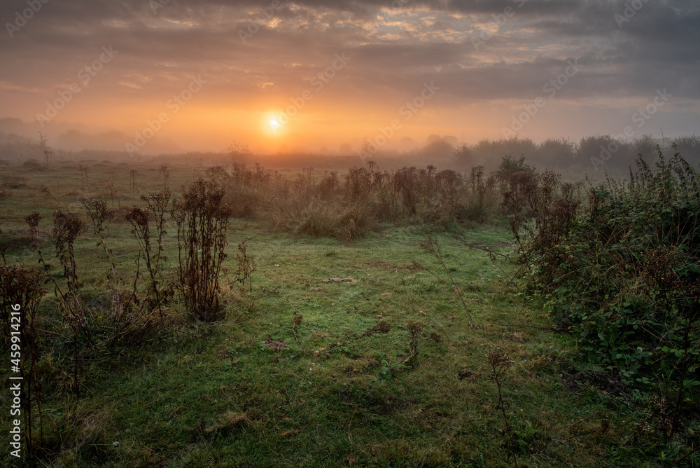 Fototapeta premium Sunrise over misty Croxley Common Moor park, Hertfordshire, UK