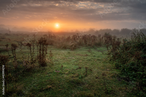 Sunrise over misty Croxley Common Moor park, Hertfordshire, UK