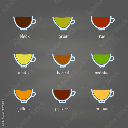 Different kinds of tea doodle.