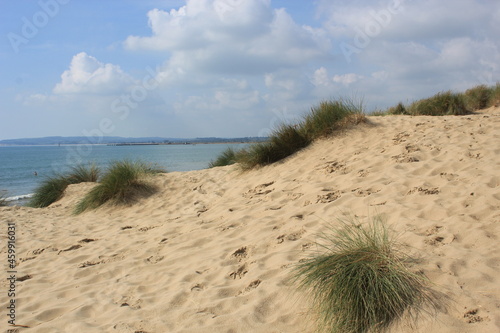 Camber sands East Sussex UK - view of Camber Sand dunes with sky and sea dunes held together with grasses stopping sand blowing away