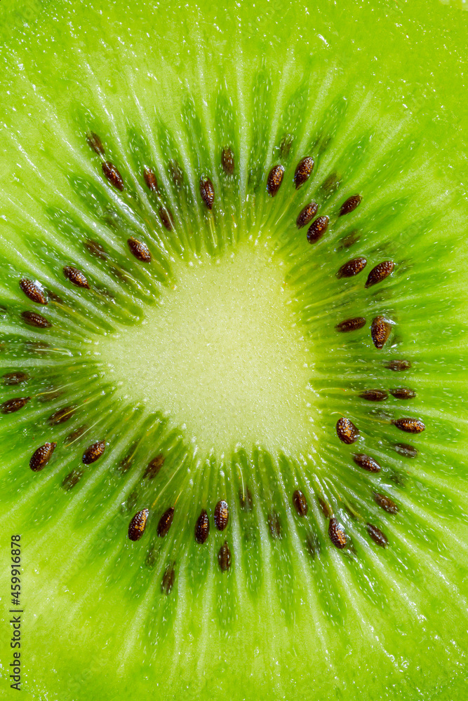 kiwi macro texture,slice of kiwi fruit on a full frame. horizontal format kiwi macro texture,slice of kiwi fruit on a full frame. horizontal format