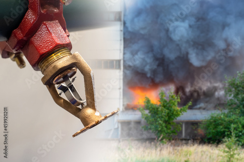Sprinkler for fire protecti...