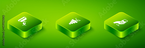 Set Isometric Bunch of grapes, Wine tasting, degustation and icon. Vector