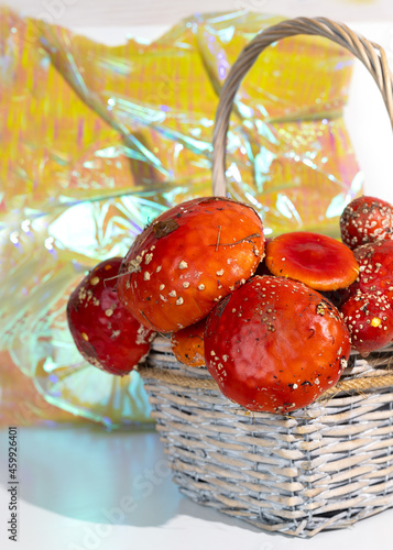 Fly agaric mushrooms in a basket. Amanita microdosing is the use of dried mushrooms in literally microscopic dosage. photo