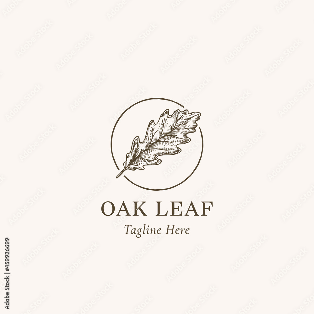Oak Leaf Abstract Vector Sign, Symbol or Logo Template. Hand Drawn Autumn Oak Leaf Sketch Illustration in a Circle Frame with Retro Typography. Isolated Oak Leaf Abstract Vector Sign, Symbol or Logo Template. Hand Drawn Autumn Oak Leaf Sketch Illustration in a Circle Frame with Retro Typography. Isolated