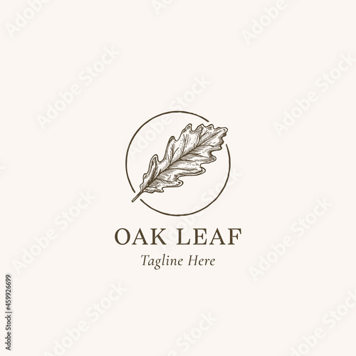 Oak Leaf Abstract Vector Sign, Symbol or Logo Template. Hand Drawn Autumn Oak Leaf Sketch Illustration in a Circle Frame with Retro Typography. Isolated