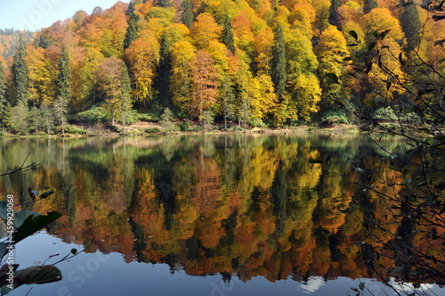 Fototapeta Naklejka Na Ścianę i Meble -  Artvin Borçka Karagöl in autumn