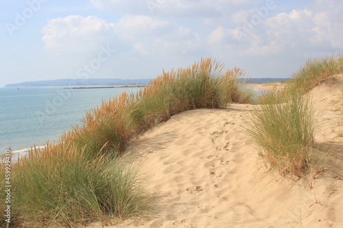 Fototapeta Naklejka Na Ścianę i Meble -  Camber sands East Sussex UK - view of Camber Sand dunes with sky and sea dunes held together with grasses stopping sand blowing away