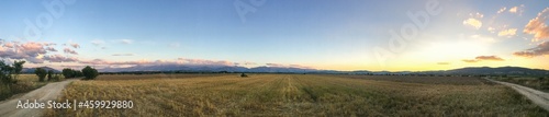 Panorama sunset over the field
