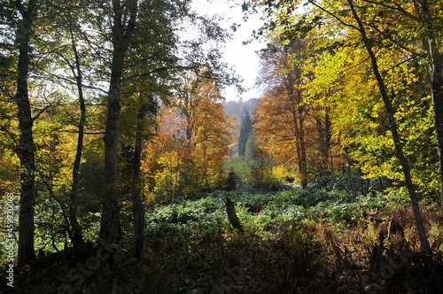 Artvin Borçka Karagöl in autumn