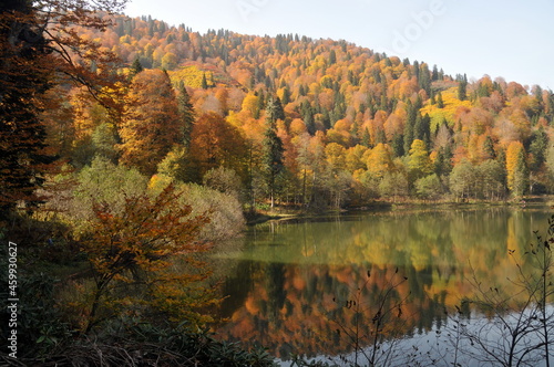 Artvin Bor  ka Karag  l in autumn