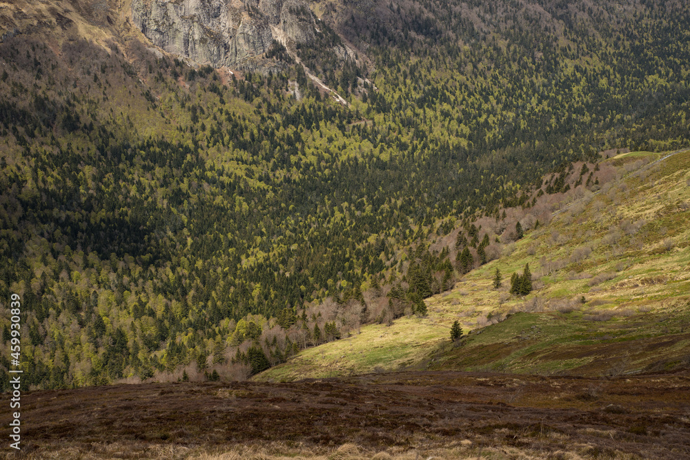 Paysage avec une vallée entourée de montagnes. une rivière coule au milieu de la forêt