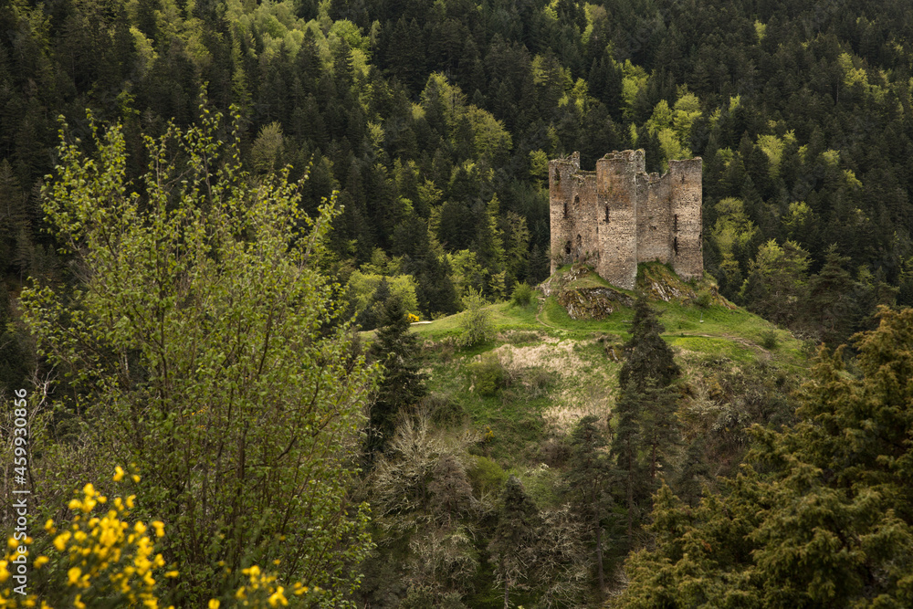 Château fort en ruine situé sur une colline au milieu de la forêt en France Château fort en ruine situé sur une colline au milieu de la forêt en France