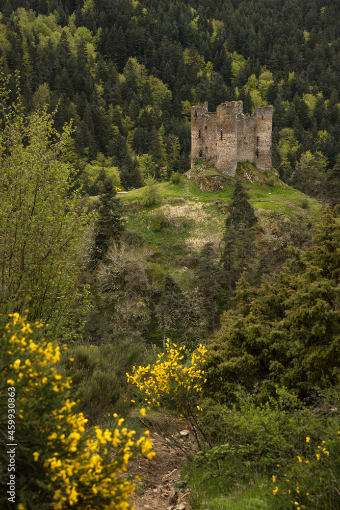 Château fort en ruine situé sur une colline au milieu de la forêt en France