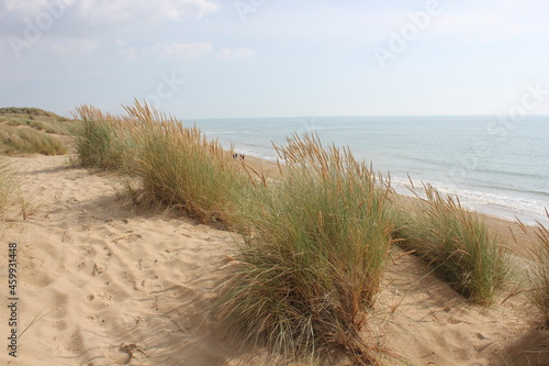 Camber sands East Sussex UK - view of Camber Sand dunes with sky and sea dunes held together with grasses stopping sand blowing away