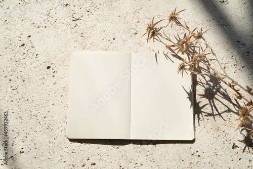 Autumn or winter wedding. Birthday stationery composition.Blank open diary with dry floral element. Harsh shadow play on travertine background. Composition in daylight, copy space, top view