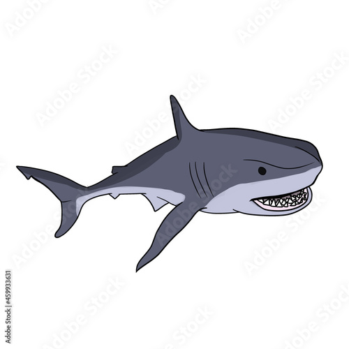 Illustration of a shark