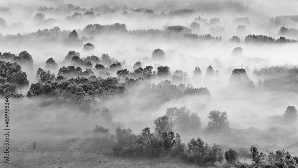 Misty morning in the mountains (black and white landscape) Misty morning in the mountains (black and white landscape)