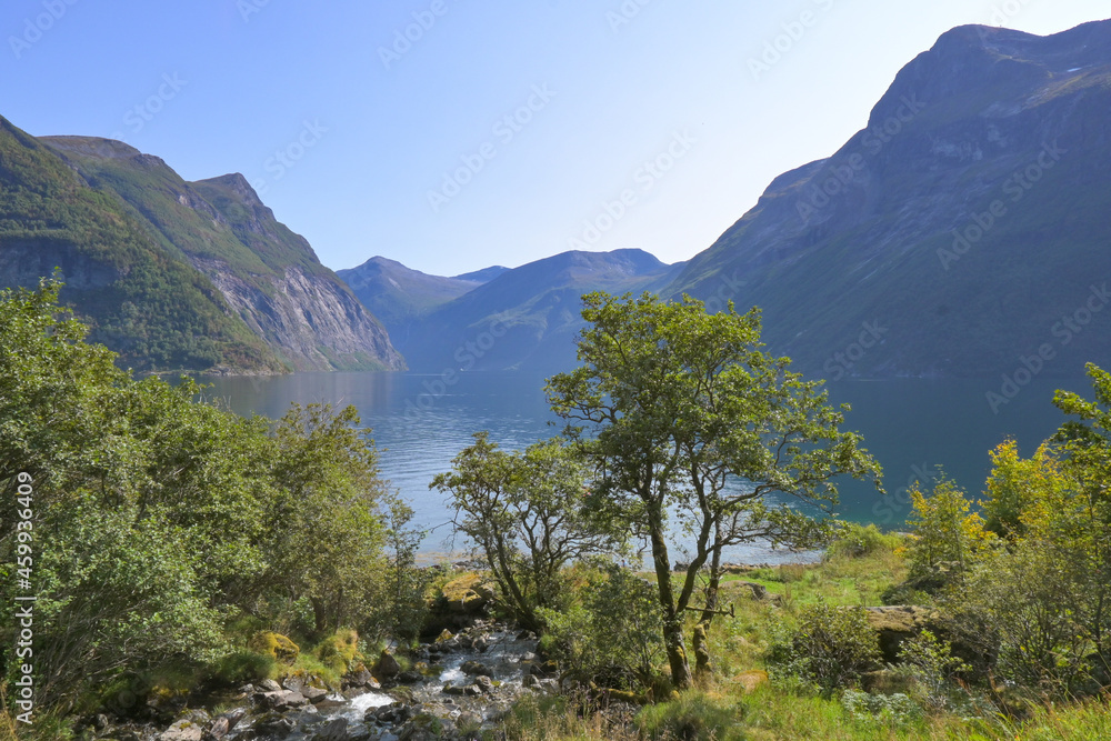 Obraz premium Beautiful green landscape of the Norwegian fiords in summer in the Geiranger region