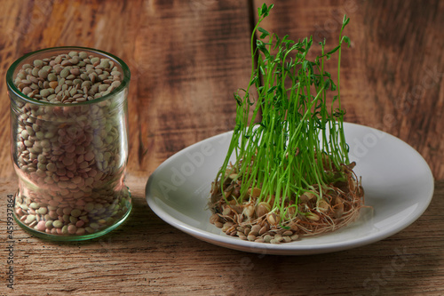 Sprouted with lentils in glass container wooden background foreground