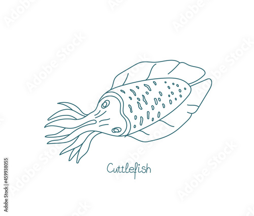 Cuttlefish or cuttles are marine molluscs. Vector contour. Open paths. Editable stroke. Custom line thickness.