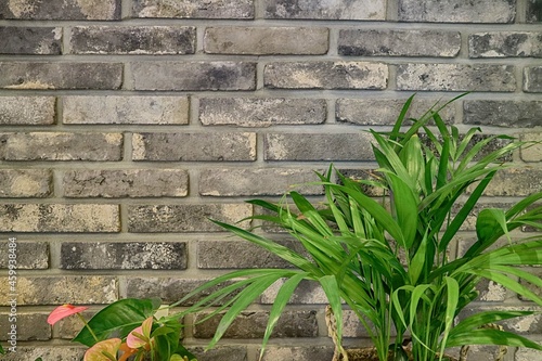 brick wall and plants