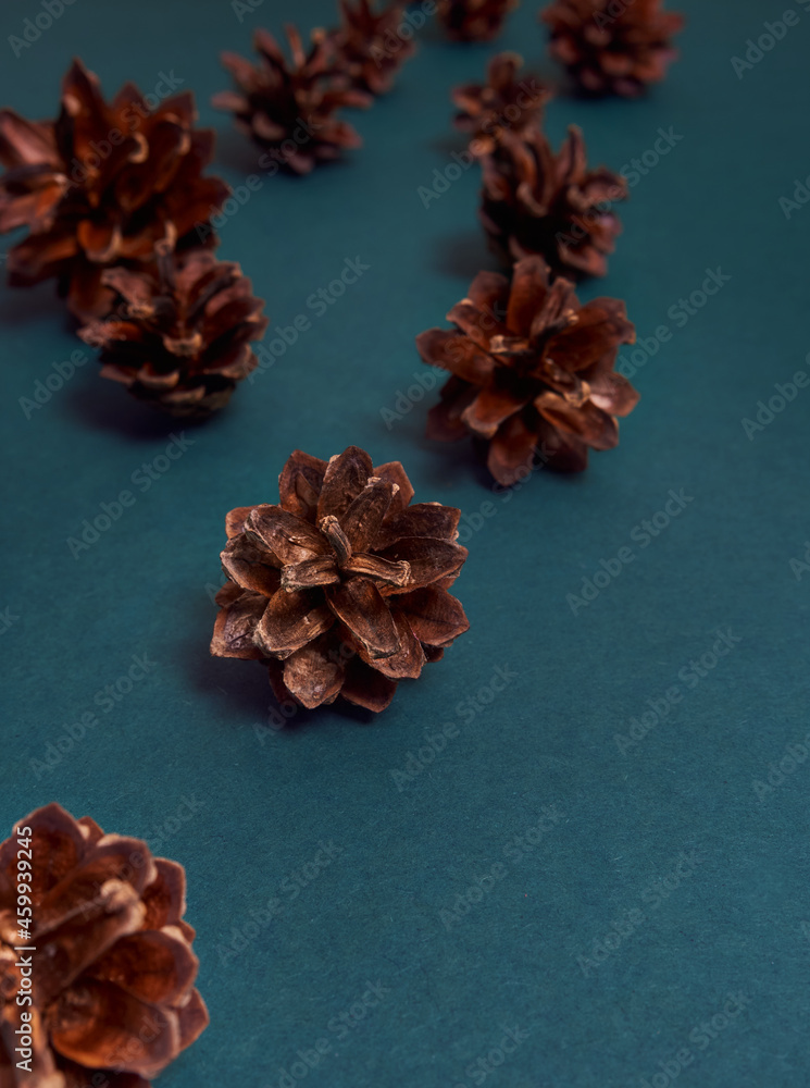 Christmas composition. Christmas, winter, new year concept. Christmas composition. Christmas, winter, new year concept.