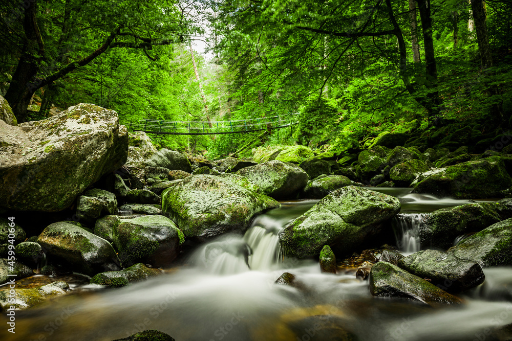 Hängebrücke an der Buchberger Leite im Bayrischen Wald Hängebrücke an der Buchberger Leite im Bayrischen Wald