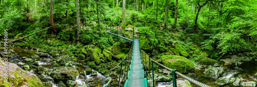 Hängebrücke an der Buchberger Leite im Bayerischen Wald