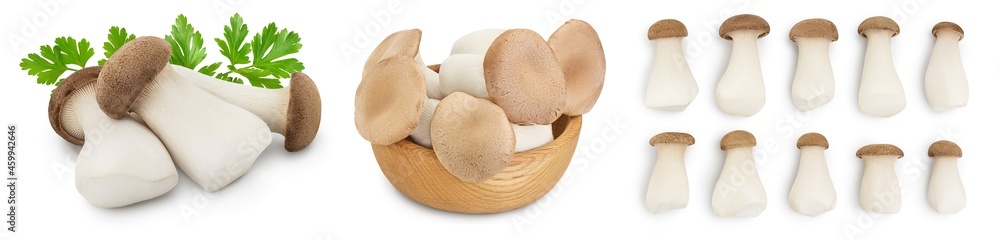 Fototapeta premium King Oyster mushroom or Eringi isolated on white background . Set or collection
