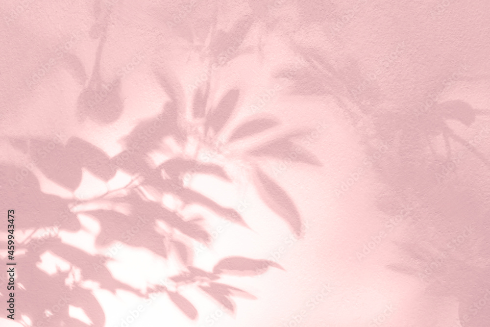 Leaf shadow and tree branch on wall. Pink shadow overlay effect