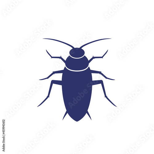 cockroach icon on white, vector