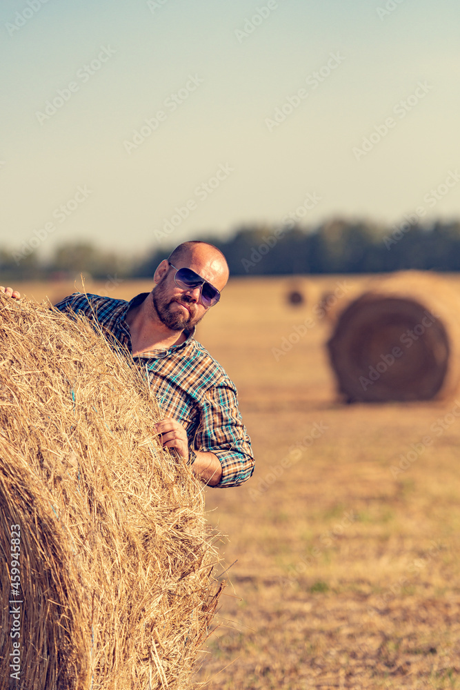 A man in sunglasses, with a beard, in a field of wheat. A bald man with a beard poses in a field. A man in sunglasses, with a beard, in a field of wheat. A bald man with a beard poses in a field.