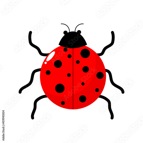 ladybug on white background. Ladybug clipart. © Vector townz