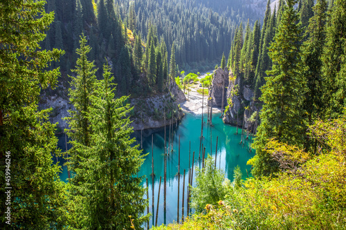 Fototapeta Naklejka Na Ścianę i Meble -  Lake Kaindy sunken forest in Kazakhstan. Beautiful mountain nature landscape. Blue lake Kolsai top view. Panoramic view of the nature reserve.