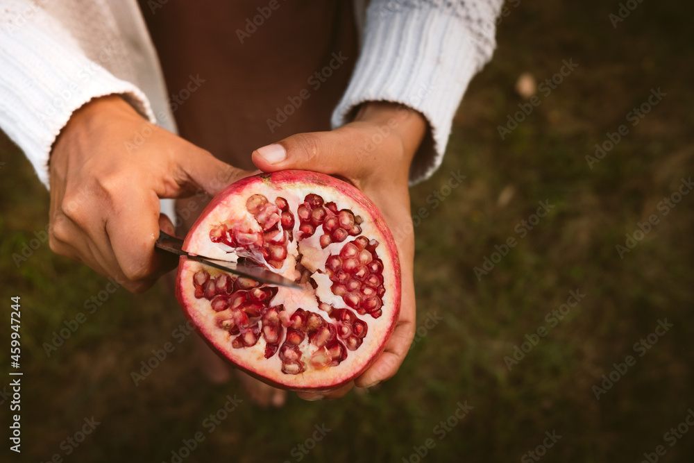 woman hands cutting fresh pomegranates in half with knife harvested from tree. concept of eating autumn fruit for healthy diet and lifestyle woman hands cutting fresh pomegranates in half with knife harvested from tree. concept of eating autumn fruit for healthy diet and lifestyle