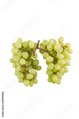Isolate is a bunch of grapes in the form of lungs on a white background.