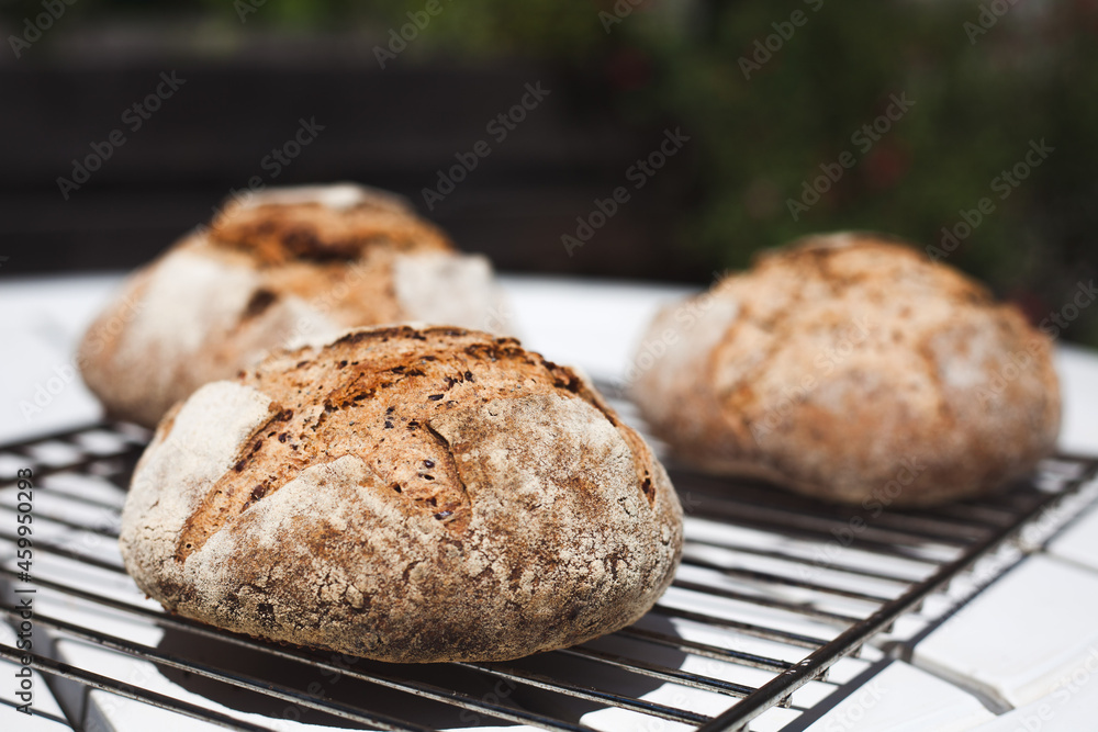 Natural french bread Natural french bread