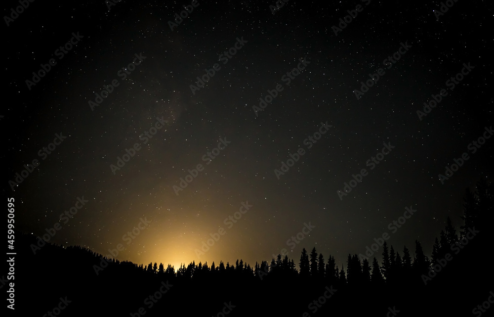 mystical night moon background stars against a background of coniferous forest