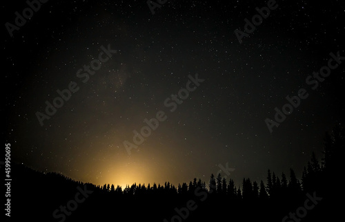 mystical night moon background stars against a background of coniferous forest