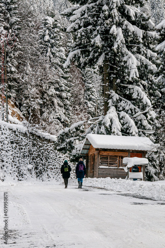 Wallpaper Mural Winter scenery in Çamlıhemşin in Rize  Torontodigital.ca